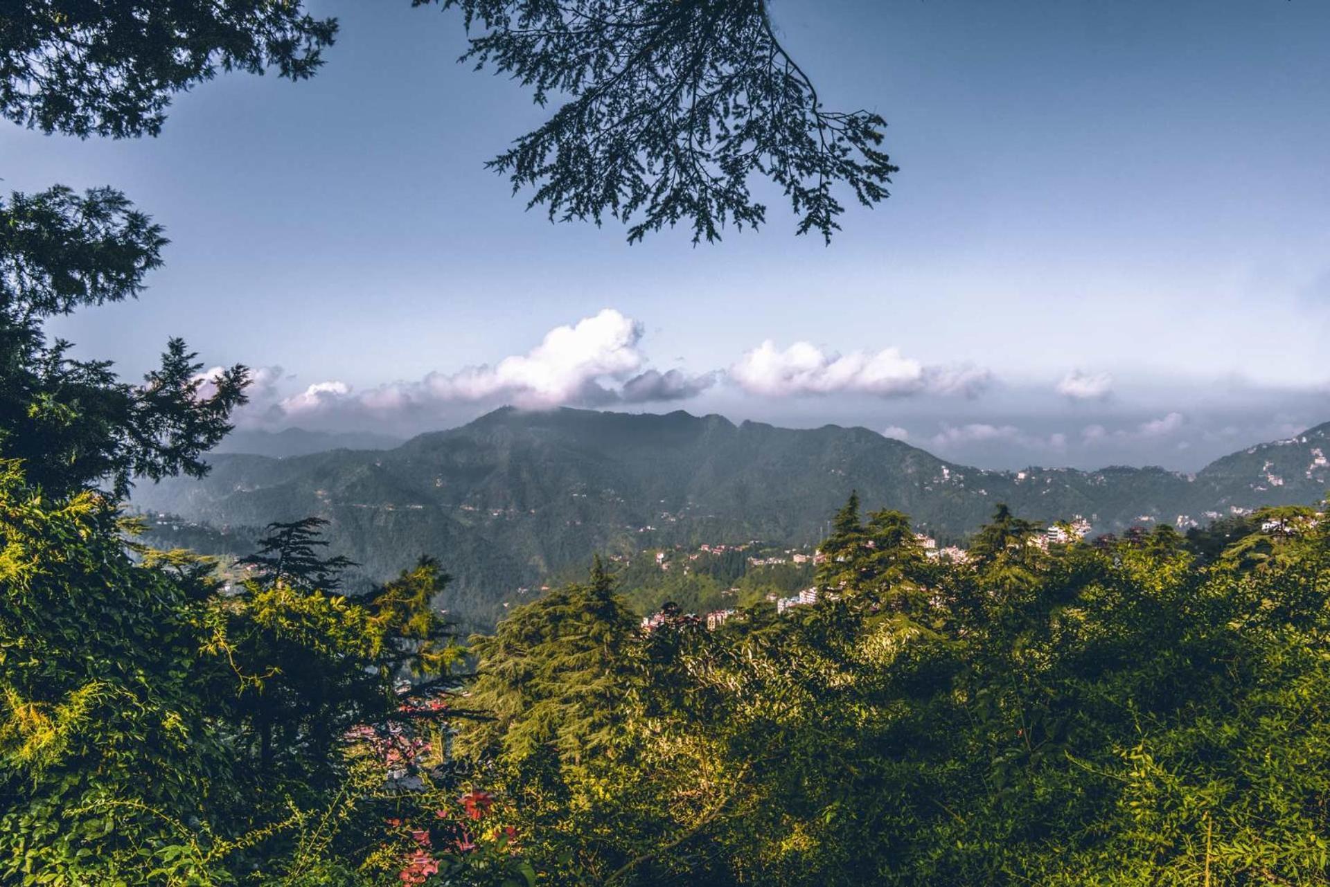 Stayvista At Rose Cottage - Bonfire & Scenic View Shimla Exterior photo