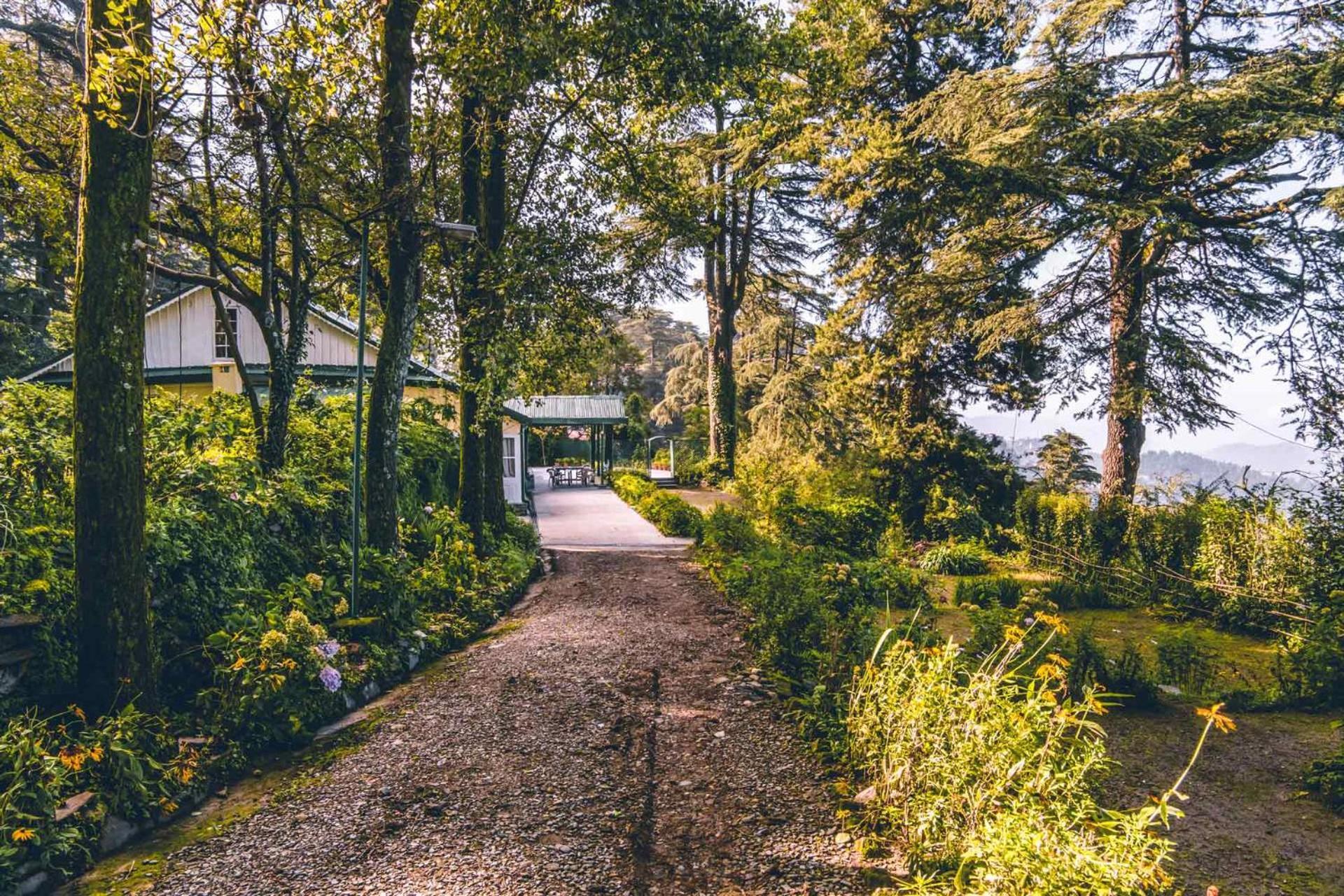 Stayvista At Rose Cottage - Bonfire & Scenic View Shimla Exterior photo